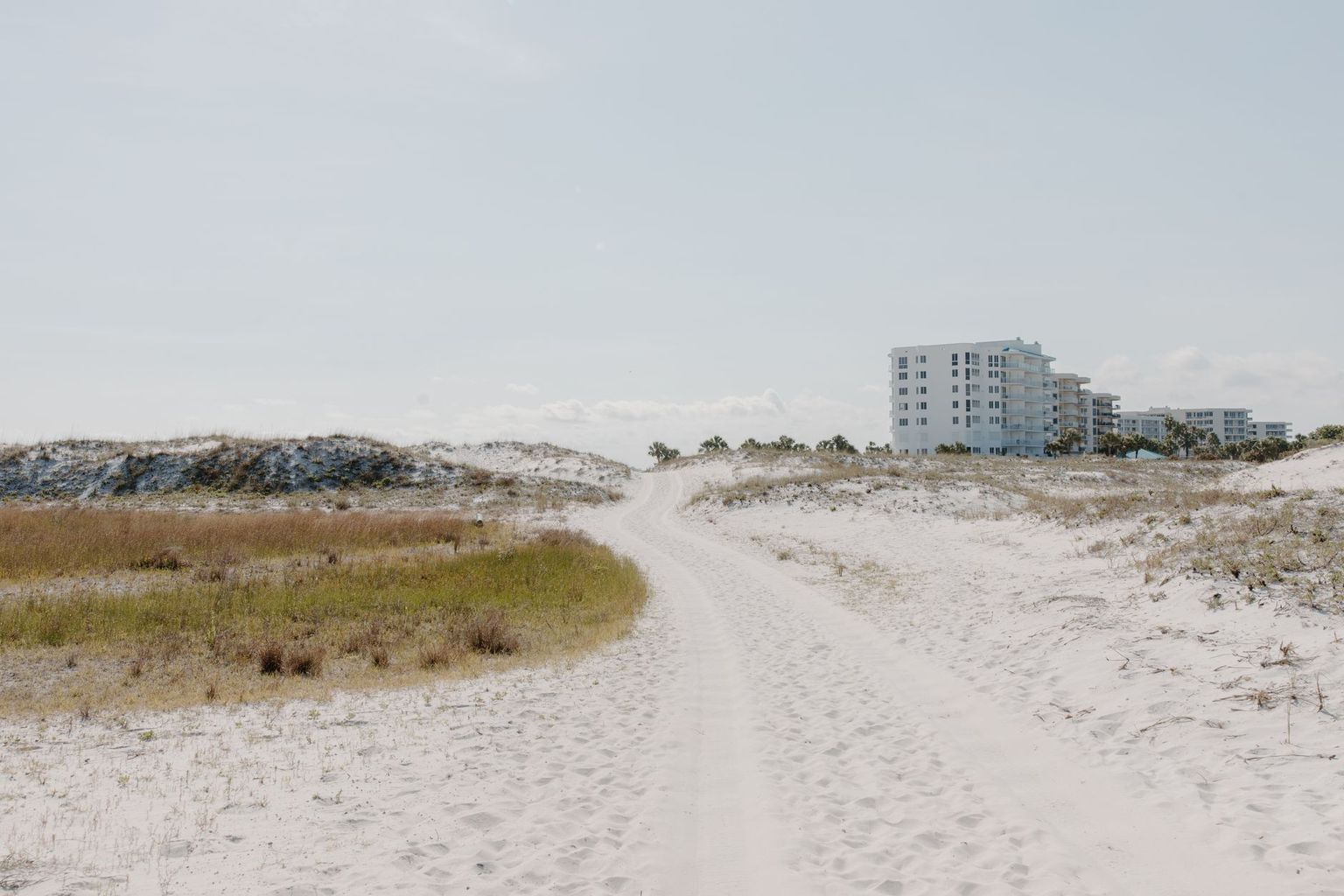Sea oats and dunes at Delnor-Wiggins Pass State Park with the Gulf beyond