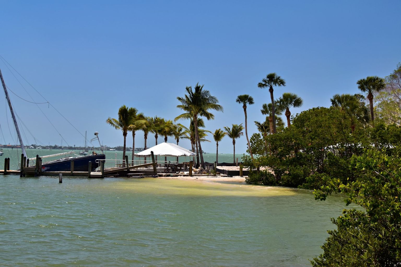 Palm trees and picnic pavilions at Lowdermilk Park beside the beach in Naples
