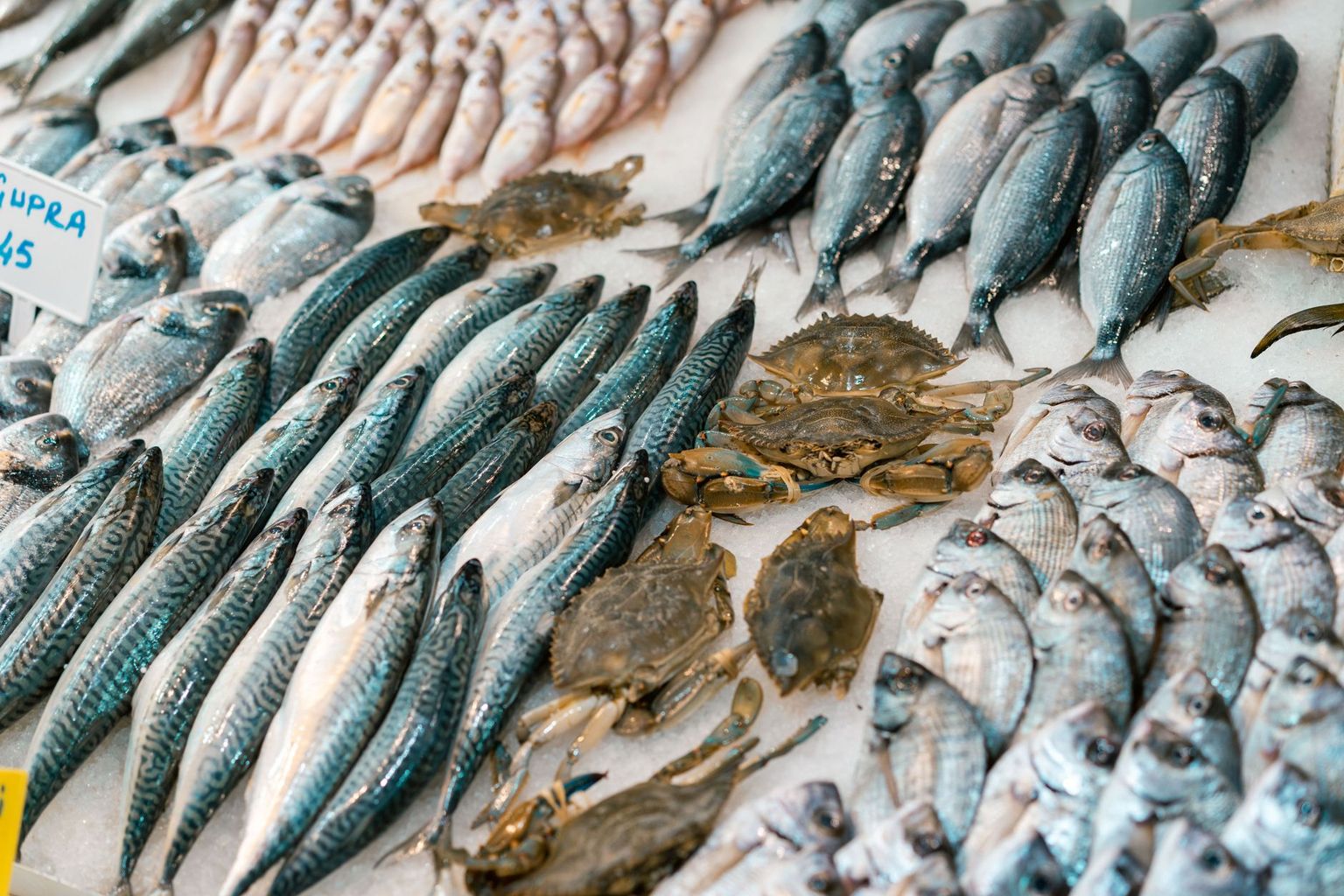 Fresh Gulf fish and stone crab claws on ice at a Naples seafood counter