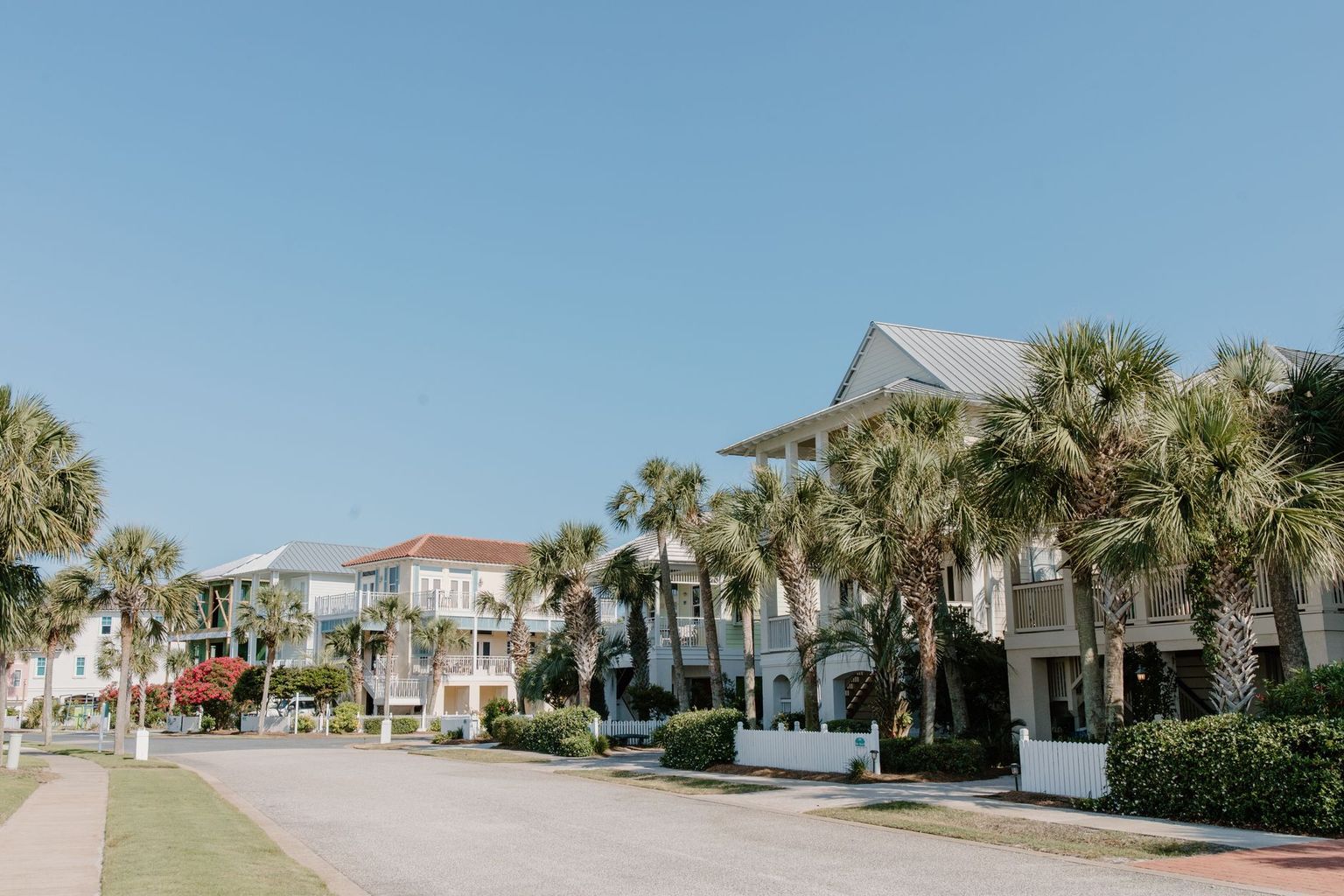 Quiet palm-shaded street of low white houses in Old Naples